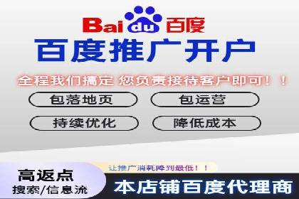 竞价广告的投放策略与效果评估——以一成功企业为例